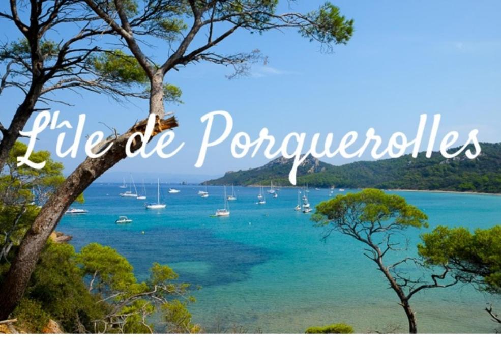 Le Terra-Cota 3 Ch Privees 10' Gare-Port Et Plage, Wfi, Cosy Toulon Extérieur photo